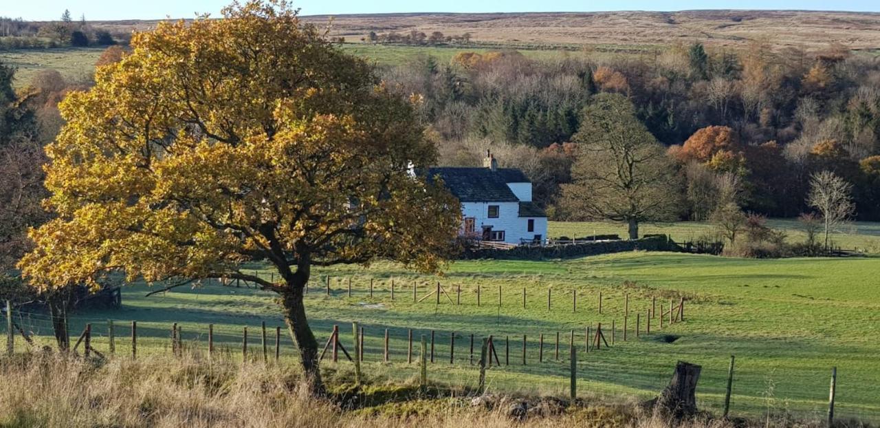 Lower Turnerford Farmhouse Newby  Zewnętrze zdjęcie
